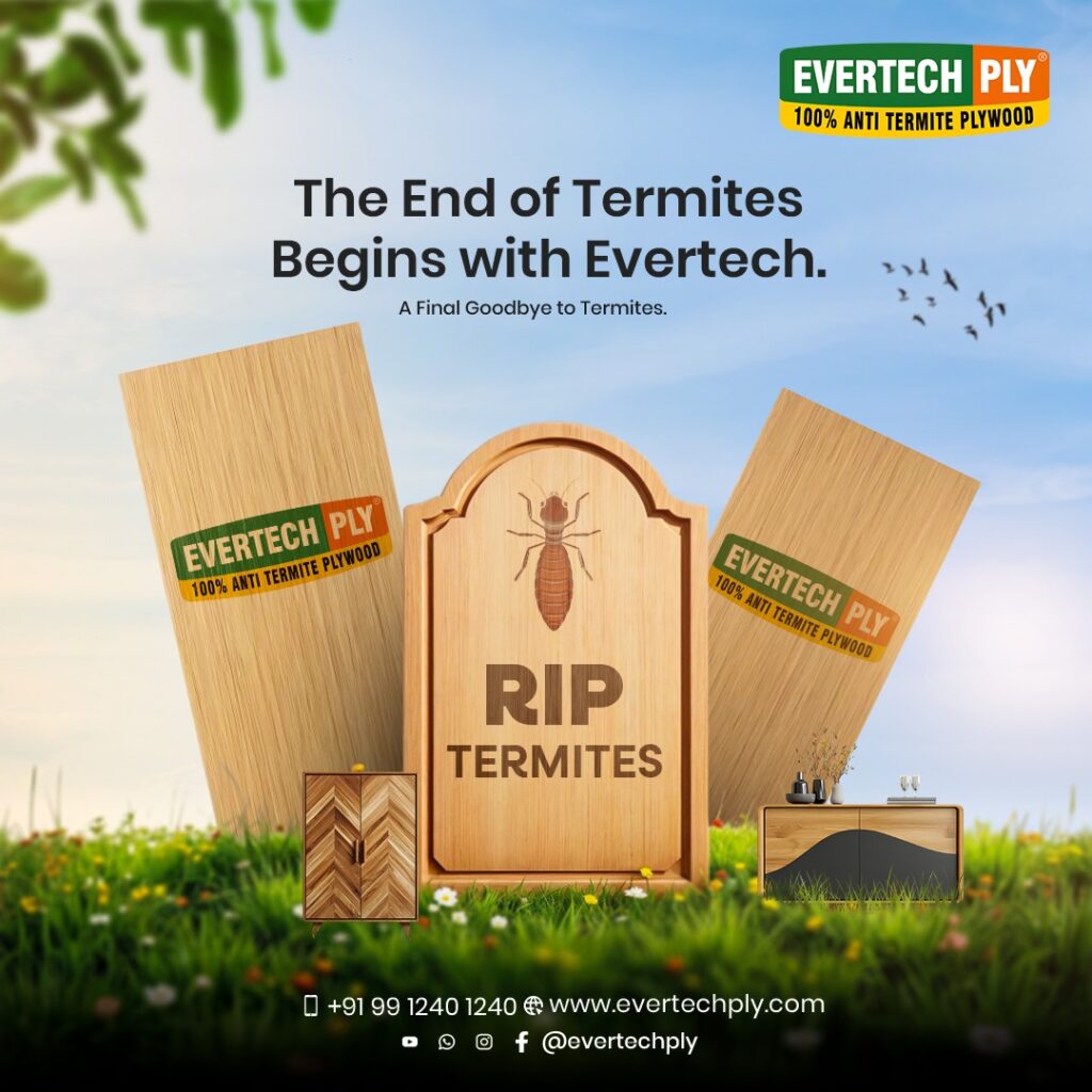 The End of Termites Begins with Evertech Ply